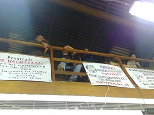 23012009110.jpgputte