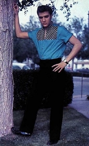 Elvis
