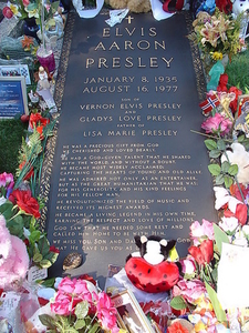 Elvis