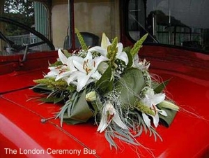 Bloem11