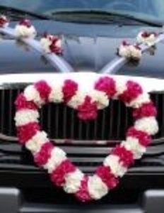 Heart%20Of%20Carnations%20For%20Hood[2]_m