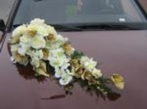 IMG_0329_m