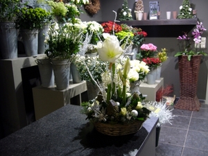 winkel 022