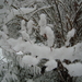 DSCN2491