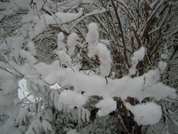 sneeuw