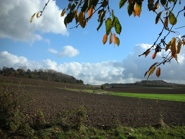 Borgloon Wandeling Radio 2.