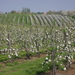 DSCN0306