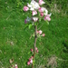 DSCN0292