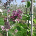 DSCN0301