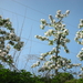 DSCN0305