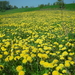 DSCN0296
