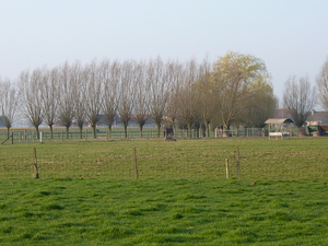 P1000018