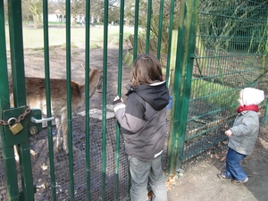 bobonne 86 (31)