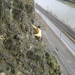 20090328 0120 MlD Klettersteig
