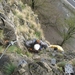 20090328 0134 MlD Klettersteig