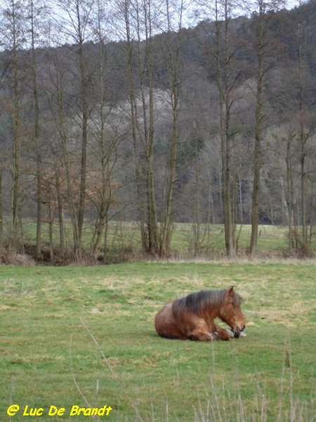 Ardennen Adeps wandeling Olloy-sur-Viroin