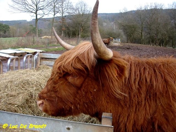 Ardennen Adeps wandeling Olloy-sur-Viroin