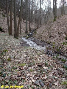2009_03_15 Olloy-sur-Viroin 12
