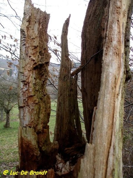 Ardennen Adeps wandeling Olloy-sur-Viroin