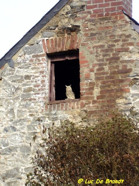 Ardennen Adeps wandeling Hulsonniaux