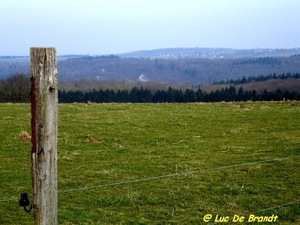2009_03_01 Hulsonniaux 24