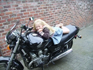 motormuis