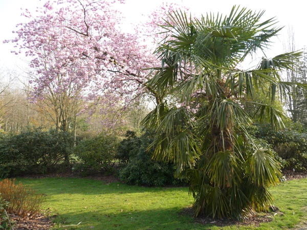 EEKLO een palm in het leen!