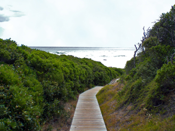 De weg naar het strand