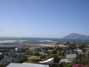 Zuid-Afrika 2008 059