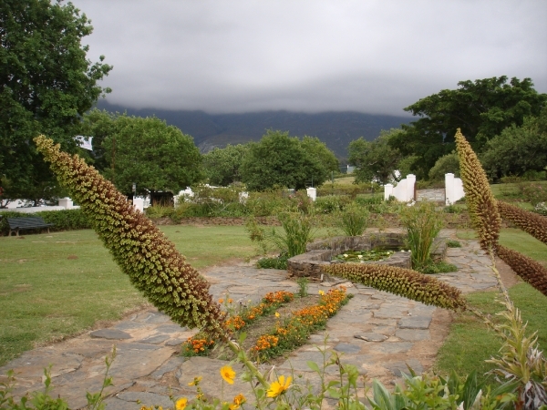 Zuid-Afrika 2008 127