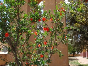 Zuid-Afrika 2008 156