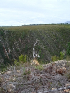 Zuid-Afrika 2008 310