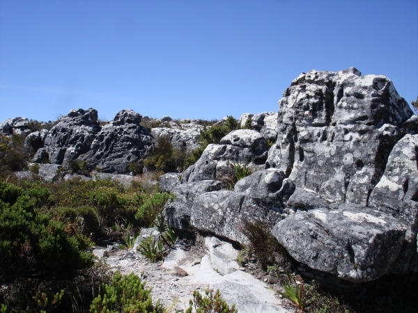 Zuid-Afrika 2008 382