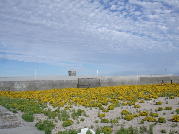 Zuid-Afrika 2008 404