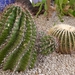 P1010257
