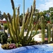 P1010261