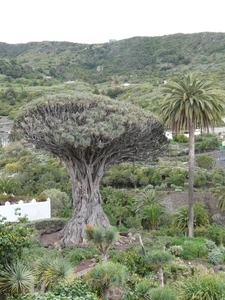 P1010337