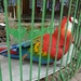 P1010338