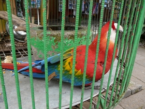 P1010338