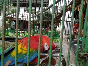 P1010339