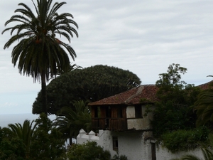 P1010342