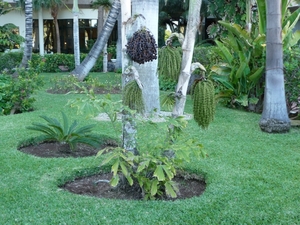 P1000056