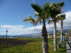 P1000067