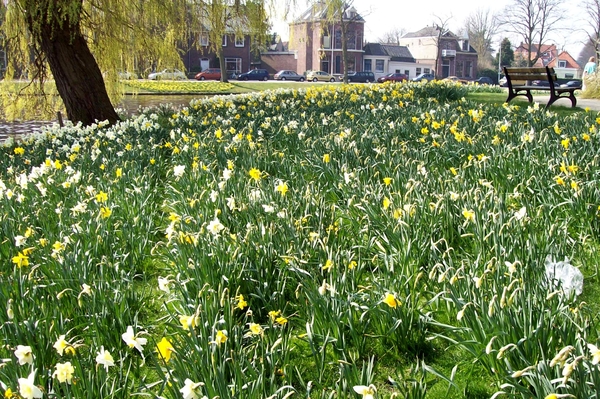 zoeterwoudse singel