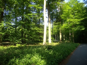 2015-05-21 KKT verk. Zoniënwoud_0000