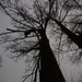2009-04-04 KKT Aalst 142