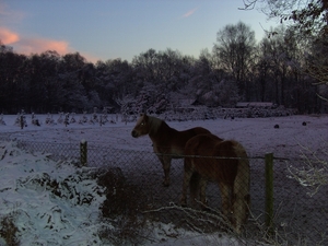 het is 8.15 en de zon komt al op