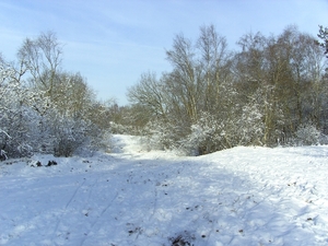 zondagmiddag wandeling in de sneeuw 006