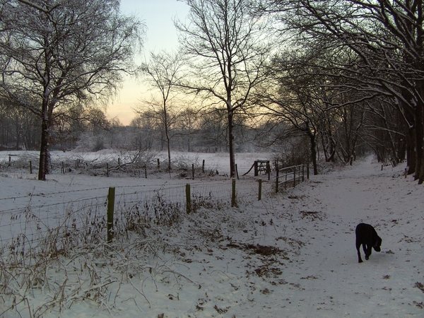 er ligt een mooi pak sneeuw