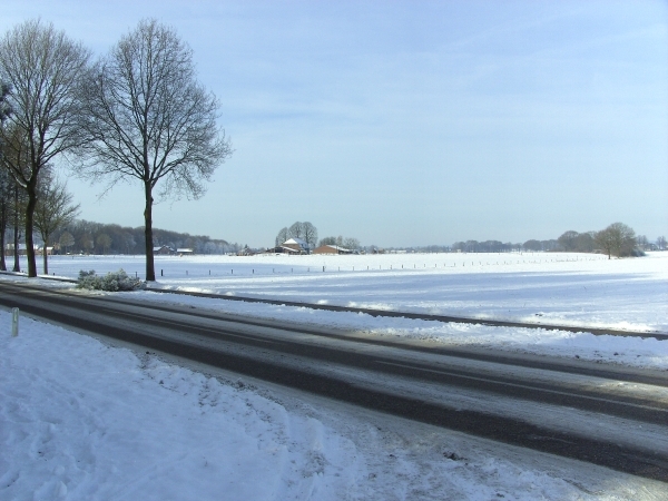 mooi uitzicht op het noord-limburgse landschap